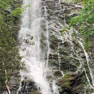 Meet your Posher, Joanna